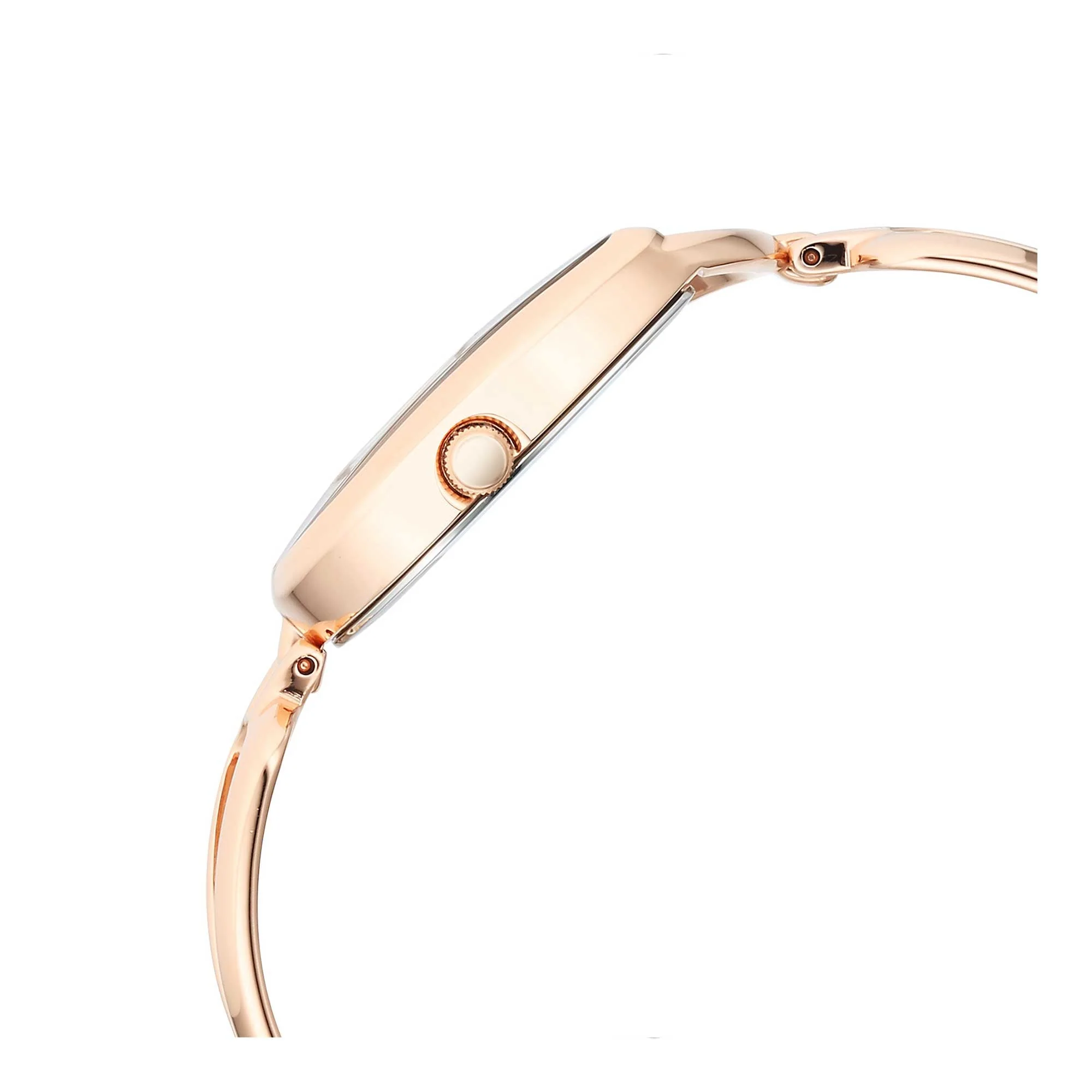 Titan Raga Chic Brown Special Dial Rose Gold Metal Strap Analog Watch for Women - Image 5