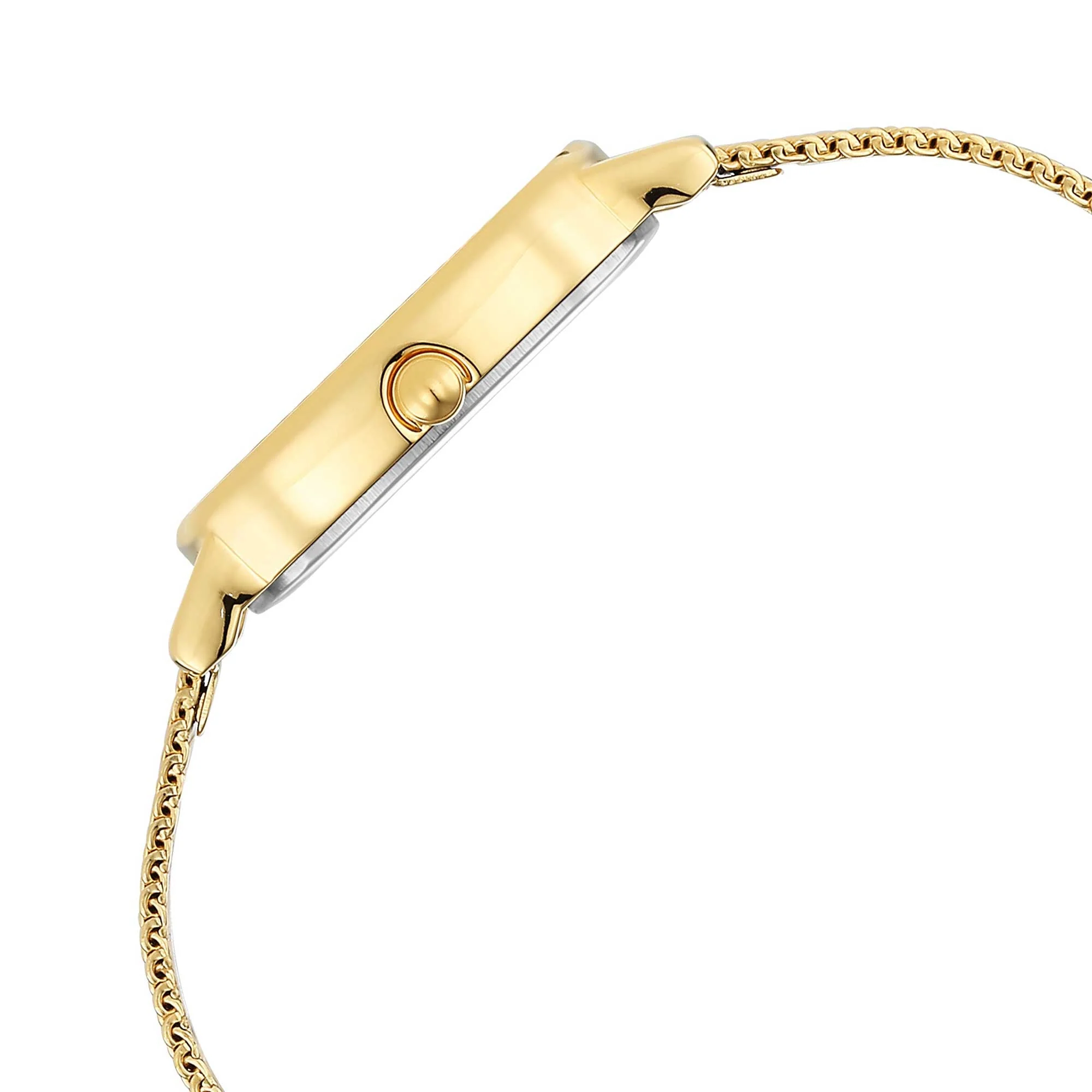 Titan Raga Viva Champagne Dial Analog Stainless Steel Strap watch for Women - Image 4