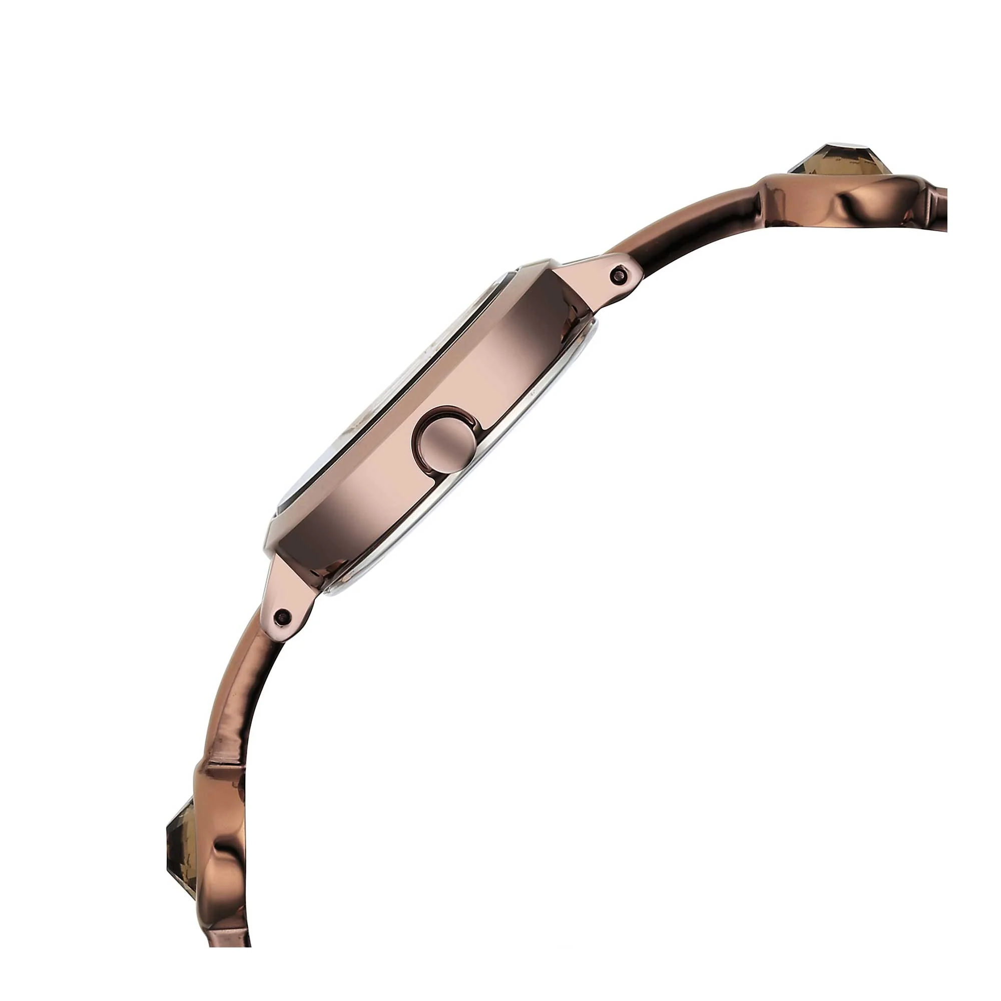 Titan Raga Viva Quartz Analog Rose Gold Dial Brown Metal Strap Watch for Women - Image 4